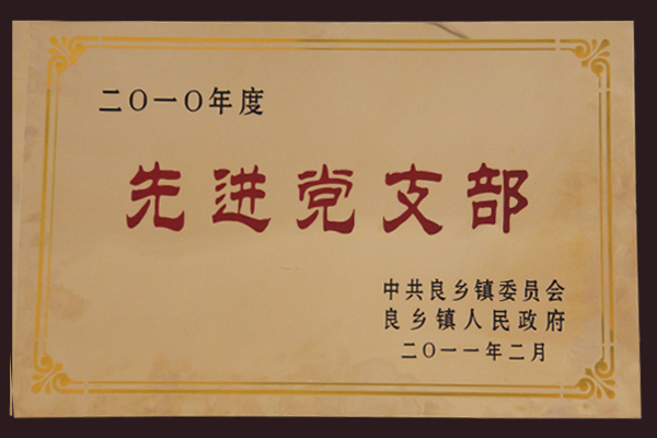 良鄉(xiāng)先進(jìn)黨支部.jpg